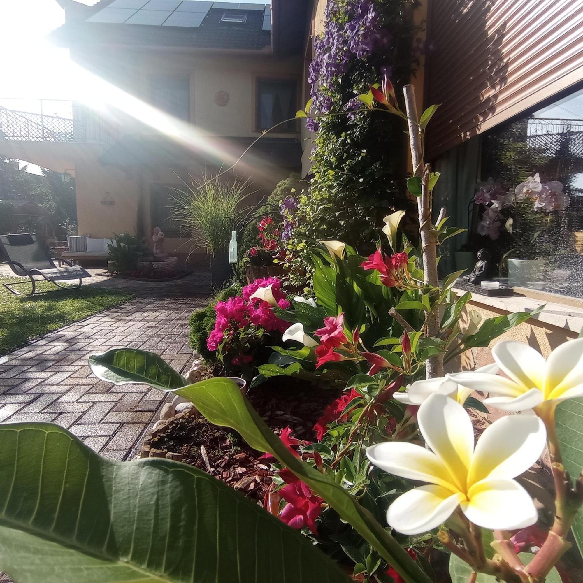 Rozsa Apartman Alsoors Luaran gambar